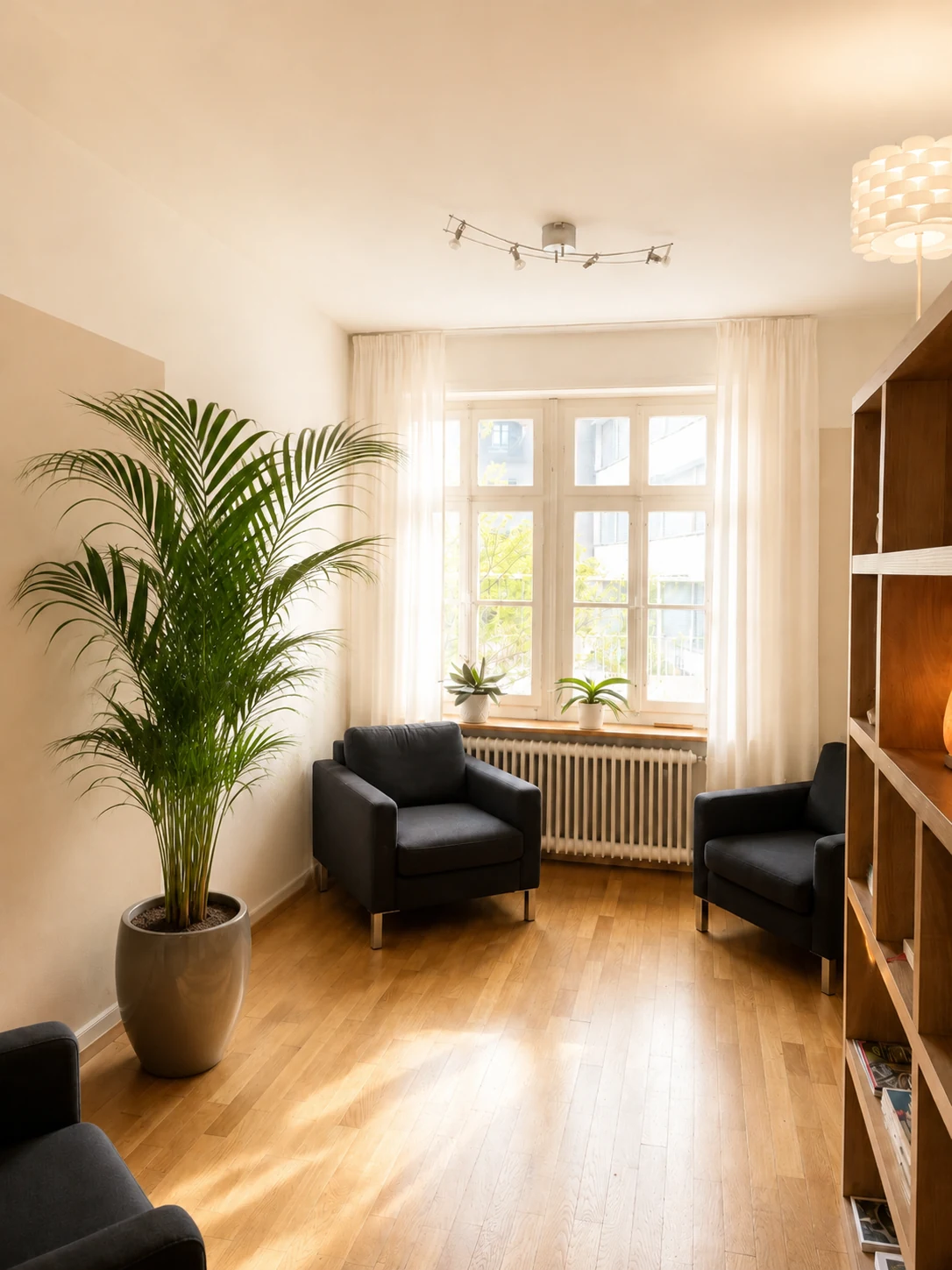 Helles Wartezimmer mit Kentia-Palme und ruhiger Einrichtung